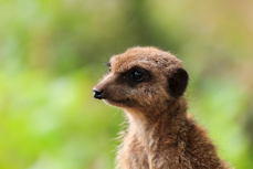 Paignton Zoo - 30/08/12